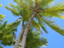 Escapade à Madagascar