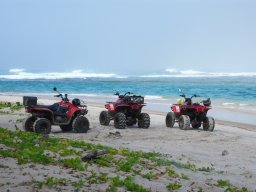 Escapade à Madagascar