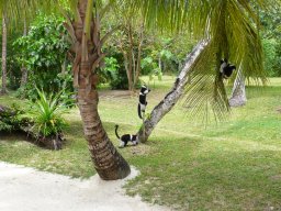 Escapade à Madagascar