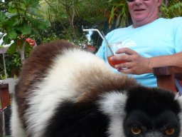 Escapade à Madagascar