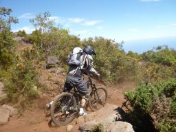 Descente de VTT : La Méga Avalanche