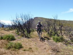 Descente de VTT : La Méga Avalanche