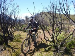 Descente de VTT : La Méga Avalanche