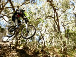 Descente de VTT : La Méga Avalanche