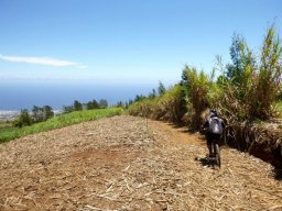 Descente de VTT : La Méga Avalanche
