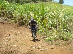Descente de VTT : La Méga Avalanche