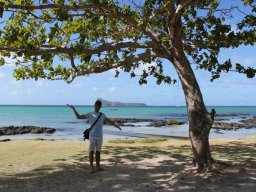 Voyage île Maurice