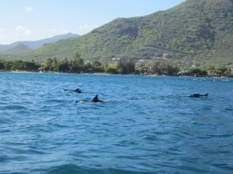 Voyage île Maurice
