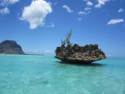 Voyage île Maurice