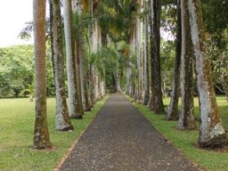 Voyage île Maurice
