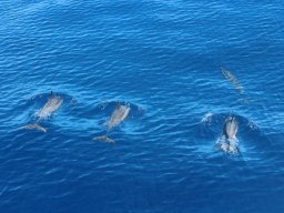 Tour de l'île en avion
