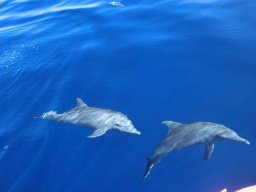 Visite Nini Pilou Téton