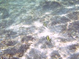 Visite Nini Pilou Téton