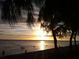 Visite de la super famille !