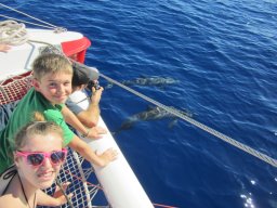 Visite de la super famille !