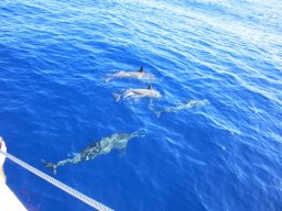 Visite de la super famille !