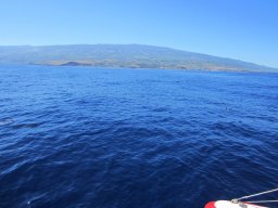 Visite de la super famille !