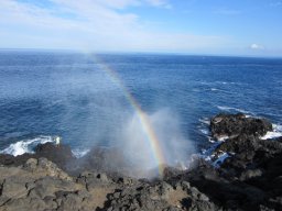 Visite de la super famille !