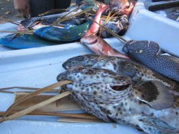 Visite de la super famille !