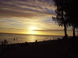 Visite de la super famille 19/04/2013