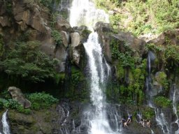 Visite de la super famille !