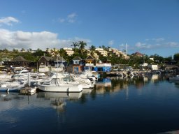 Visite de la super famille !