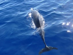 Visite de la super famille !