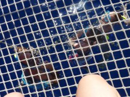 Visite de la super famille !