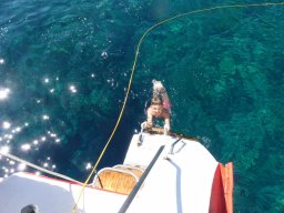 Visite de la super famille !