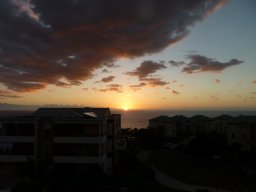 Visite de la super famille !