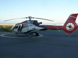 Visite de la super famille !