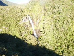 Visite de la super famille !