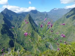 Visite de la super famille !