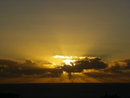 Visite Emilie et Alex