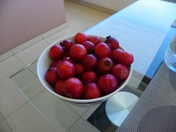 Visite Emilie et Alex