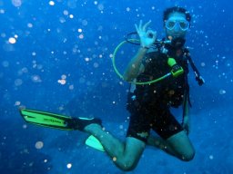 Plongée avec nos voisines les tortues