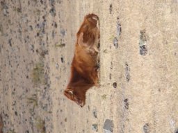 2jours de randonnée au coeur de la Réunion