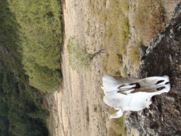 2jours de randonnée au coeur de la Réunion