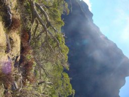 2jours de randonnée au coeur de la Réunion