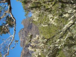 2jours de randonnée au coeur de la Réunion