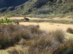 2jours de randonnée au coeur de la Réunion