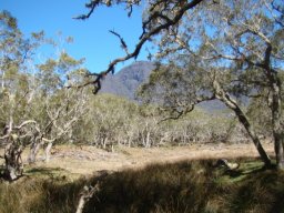 2jours de randonnée au coeur de la Réunion