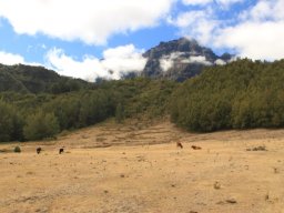 2jours de randonnée au coeur de la Réunion