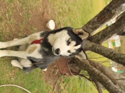 2jours de randonnée au coeur de la Réunion