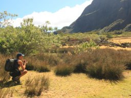 2jours de randonnée au coeur de la Réunion