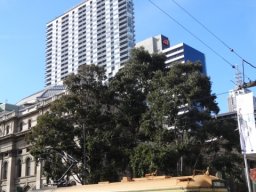 Australie : Melbourne