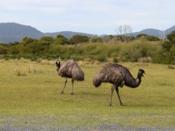 Australie : Melbourne