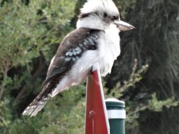 Australie : Melbourne