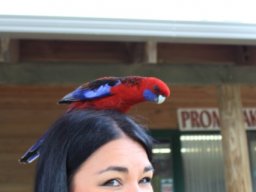 Australie : Melbourne