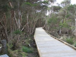 Australie : Melbourne